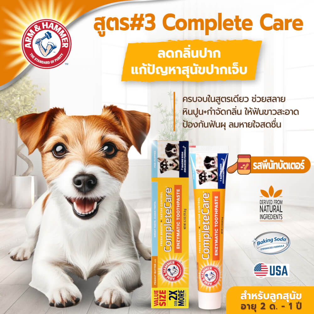 ยาสีฟันสำหรับสุนัข Arm and Hammer FB รสพีนัทบัตเตอร์ จัมโบ้ไซส์ ขนาด 175.8 กรัม (ไม่มีแปรง)_9